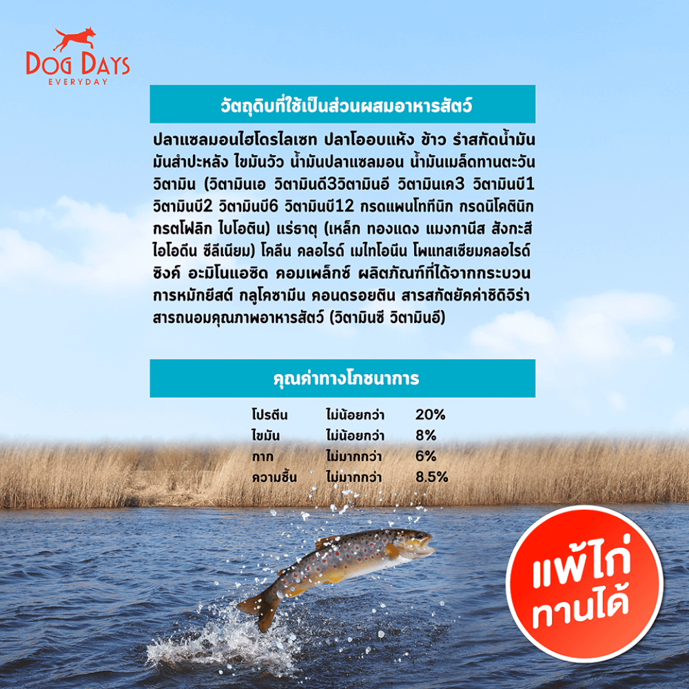 อาหารเม็ดสำหรับสุนัข DOG DAYS เกรดโฮลิสติก รสปลา สูตร DERMA (2.8 KG)
